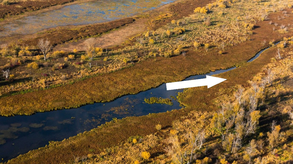 Храм посреди топи