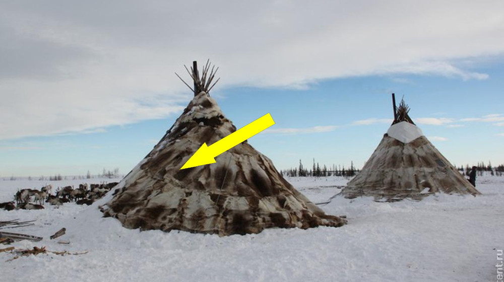 Убежище в снежных просторах