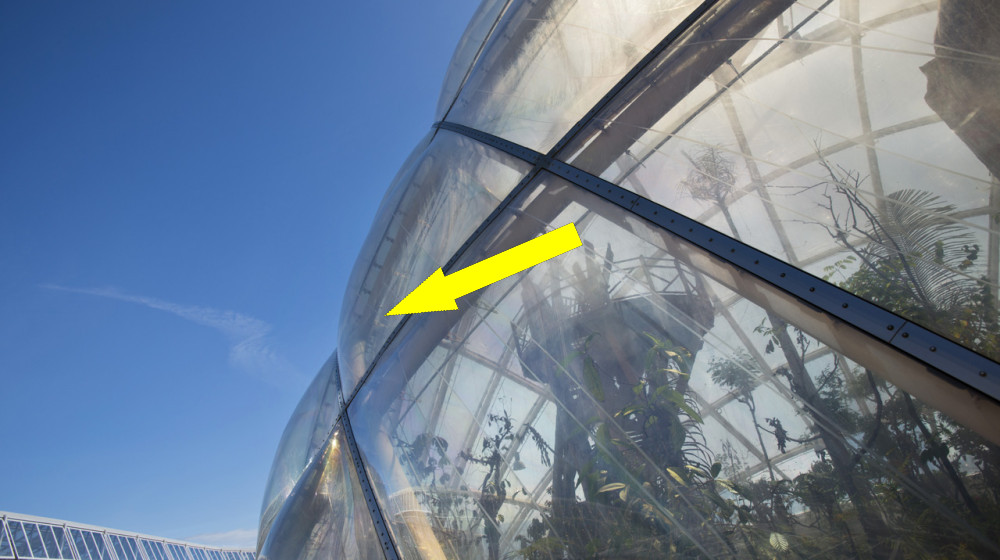 Пальмы под снегом