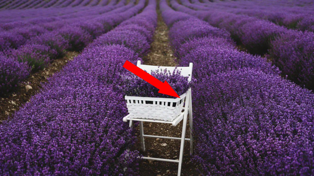 Лаванда в архитектуре: Крыши Крыма